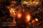 Merry Christmas!